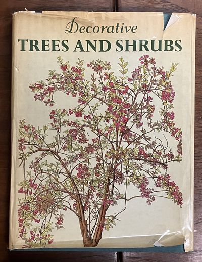 Decorative Trees and Shrubs