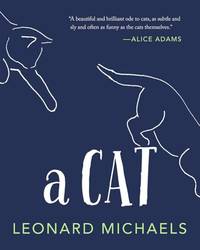 A Cat