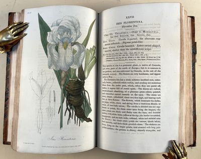 Medical botany