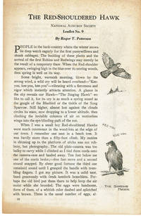 image of THE RED-SHOULDERED HAWK.