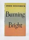 BURNING BRIGHT