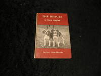 The Beagle