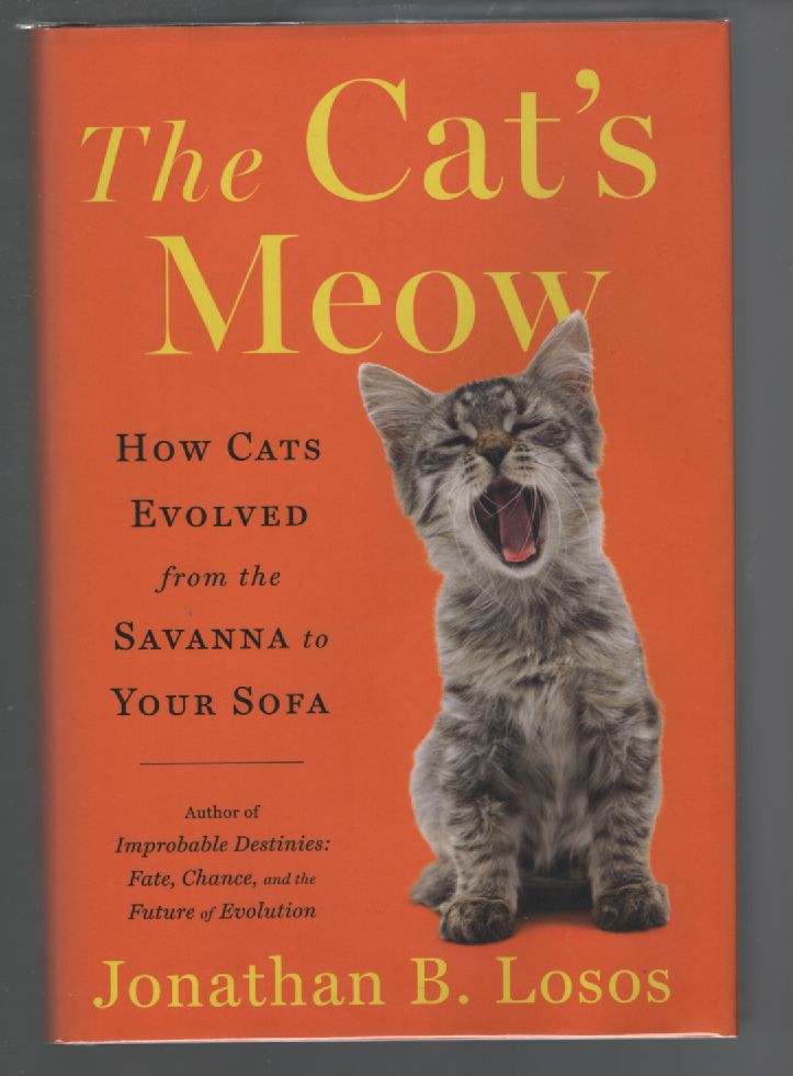 Cat's Meow How Cats Evolved from the Savanna to Your Sofa by Jonathan B Losos First Edition