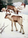 Reindeer and a Snowy landscape with a Man on skis.