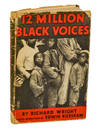 View Image 1 of 5 for 12 Million Black Voices Inventory #198988