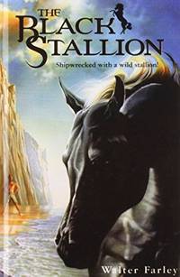 image of The Black Stallion