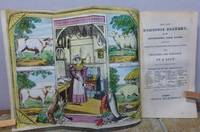 THE NEW DOMESTIC COOKERY, or the Housewife&#039;s Sure Guide; Containing Complete Instructions for Cooking every description of Viands with Cheapness and Elegance. by BY A LADY.: