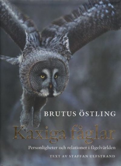KAXIGA FÅGLAR. Personligheter och relationer i…