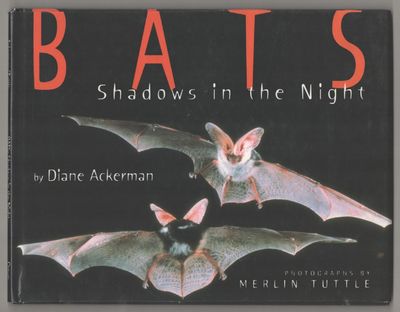 Bats: Shadows in the Night