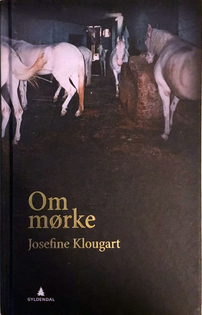 Om mørke. Oversatt fra dansk av Trude Ma