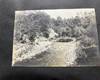 Vintage New York photograph Album early 1900's