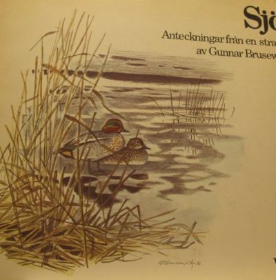 Sjö. Anteckningar från en strand.
