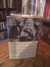 The Wayward Bus  (w/Photoplay wraparound)