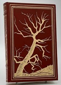 cover of The Copper Beech.