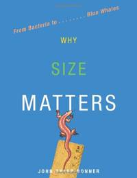 Why Size MATTErs: From Bacteria to Blue Whales