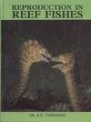 Reproduction in Reef Fishes
