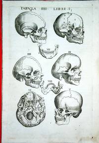 Anatomia del corpo humano nuovamente ristampata e con l'aggiunta d'alcune tavole ampliata 