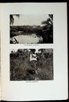 View Image 2 of 3 for Fiji and its Possibilities  Inventory #38099