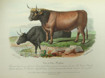 Histoire Naturelle-Agricole des Animaux…
