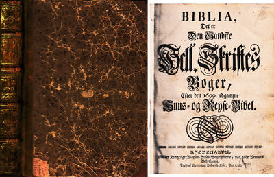 Biblia, Det er Den Gandske Hell. Skriftes Bøger,…