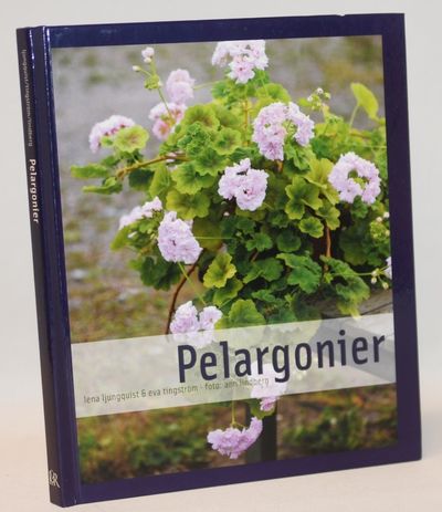 Pelargonier.