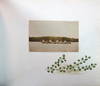 Memory Album - Phililp Bethel Boude -...; (photo 12)