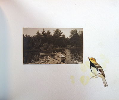 Memory Album - Phililp Bethel Boude -...; (photo 14)