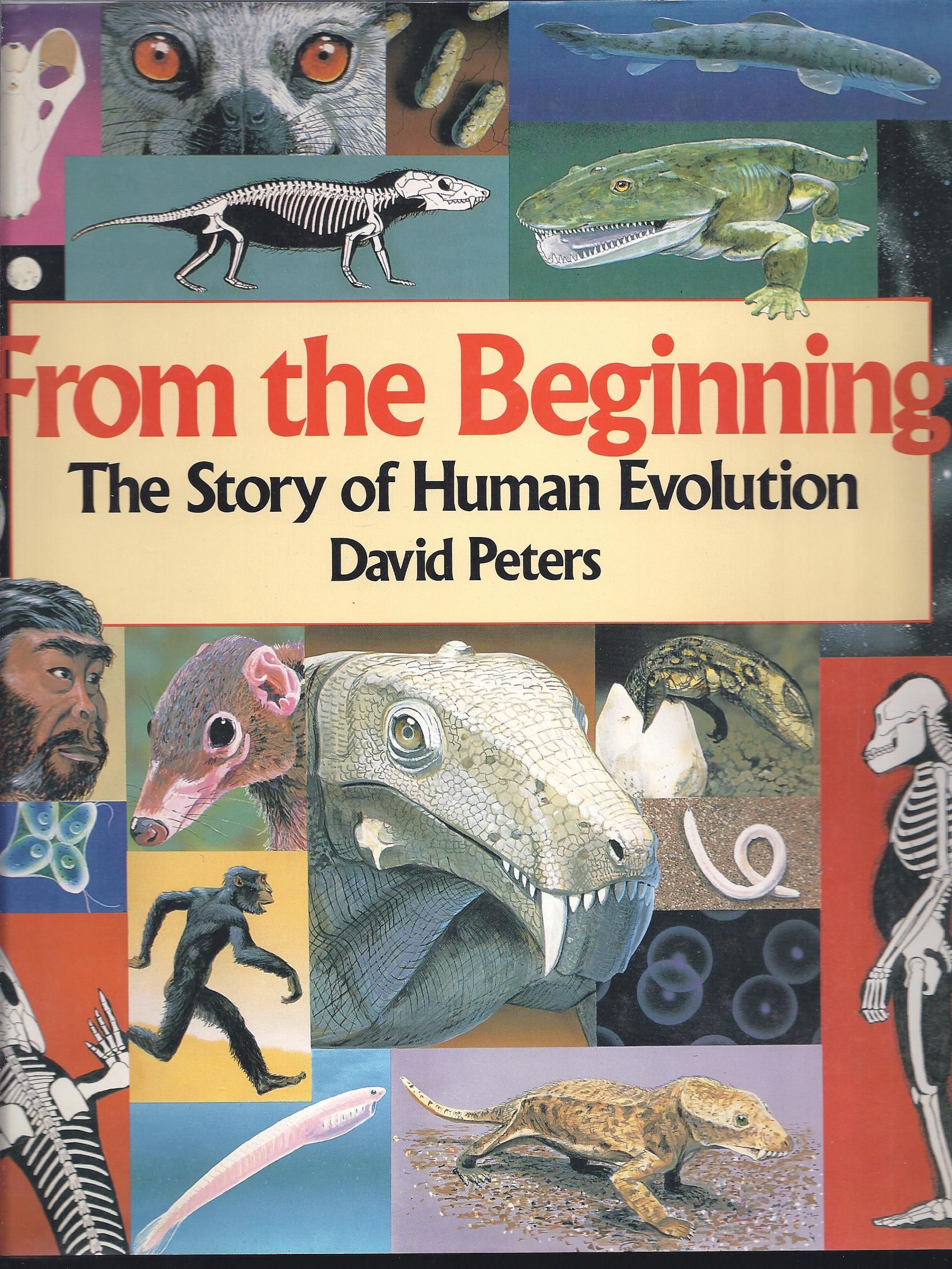 洋書 How We Became Human 洋書 How We Became Human How We Became Human - Joy Harjo