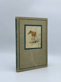 image of The Red Pony
