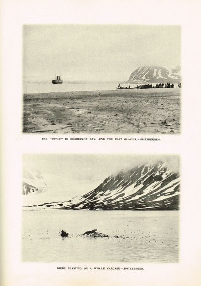 With the S. S. “Ophir” ... on a Cruise to Spitzbergen and the Fiords of Norway. An unpretentious record ... and a selection of photos taken by the Surgeon. July 13th to August 9th, 1904. (photo 4)