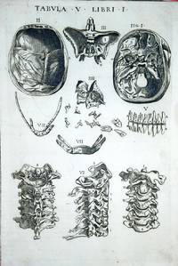 Anatomia del corpo humano nuovamente ristampata e con l