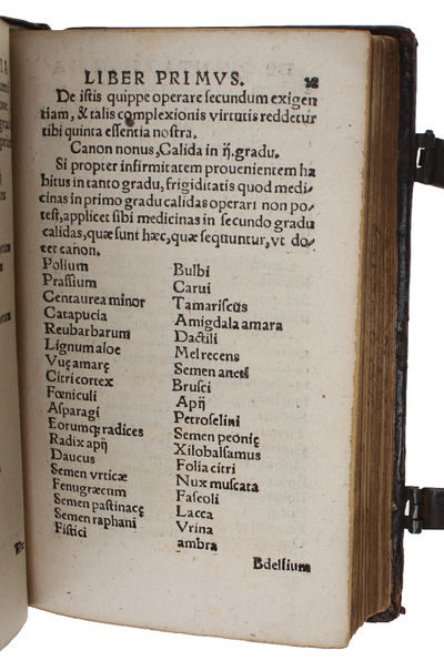 De secretis naturae sive Quinta essentia libri duo. His accesserunt Alberti Magni Summi philosophi, De mineralibus & rebus metallicis Libri quninque. Quae omnia solerti cura repurgata rerum naturae studiosis recens publicata sunt per M. Gualtherum H. ... - [THE CULMINATION OF LULLISM] (photo 3)