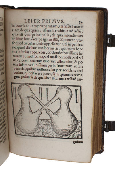 De secretis naturae sive Quinta essentia libri duo. His accesserunt Alberti Magni Summi philosophi, De mineralibus & rebus metallicis Libri quninque. Quae omnia solerti cura repurgata rerum naturae studiosis recens publicata sunt per M. Gualtherum H. ... - [THE CULMINATION OF LULLISM] (photo 4)