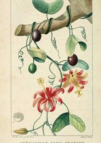 cover of Reproducción/Reproduction 6005402698: Flore pittoresque et me´dicale des Antilles v.1 Paris Pichard,1821-1829