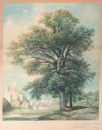 Watercolor of Ruin in background and Trees in foreground. Inscribed 'seinem lieben Gerhard zur frenndt Erinnerunng Berlin 26 Sept. 1875