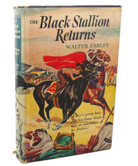 image of THE BLACK STALLION