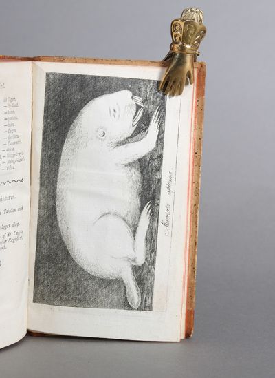 Resa uti Europa, Africa, Asia, förrättad Åren 1770-1779. Bind 1-4. (photo 3)