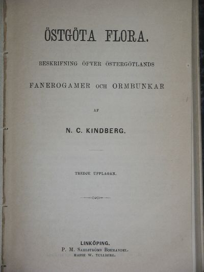 SNÖBOLLAR I BARWINTERN, FRÅN ÖSTERGÖTHLAND. (photo 2)