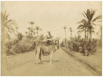 Middle Eastern and Islamic Cultural History: Circa 1875 Albumen Prints of Armed Arab and Bedouin Camel Riders