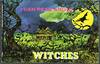 I Can Read About Witches