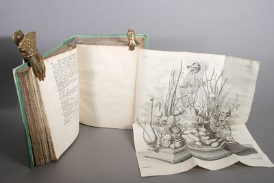 Opera Omnia Anatomico-Medico-Chirurgica, huc usque edita. Two volumes. (photo 3)