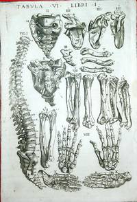 Anatomia del corpo humano nuovamente ristampata e con l'aggiunta d'alcune tavole ampliata 