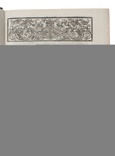 Schrifftmassige Erlauterung der Grundlegung der Theologie Herrn Johann Anastasii Freylinghausens. (photo 4)