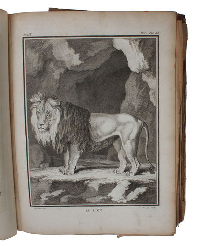 Histoire naturelle , generale et particuliere, avec la description du cabinet du Roi. Tome Neuvième. (photo 2)