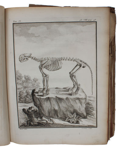 Histoire naturelle , generale et particuliere, avec la description du cabinet du Roi. Tome Neuvième. (photo 3)