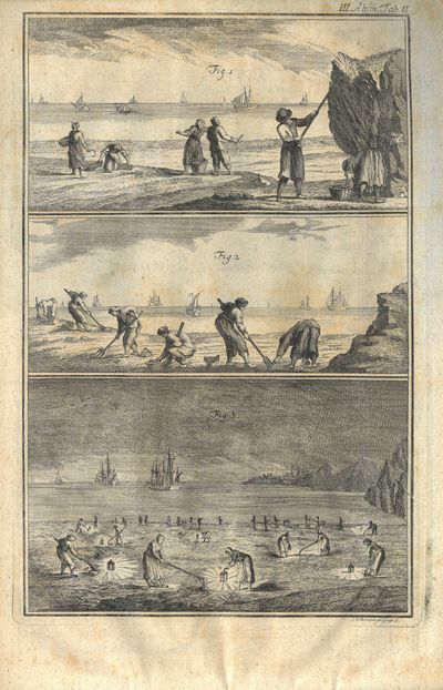 Abhandlung von den Fischereyen, und Geschichte der Fische, oder derer Thiere, die im Wasser leben. Dritter Abschnitt. Worinne von vielen Arten zu fischen gehandelt wird, die zu denen, wovon in den beyden vohergehenden Abschnitten gehandelt worden, nicht heben gerechnet werden können ; nebst einigen Erläuterungen, welche ohne eigentlich zu den Fischereyen zu gehören, in einem sehr nahen Verhältnisse damit stehen. (photo 3)