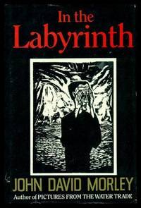 image of IN THE LABYRINTH