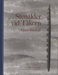 STENÅLDER VID TÅKERN.