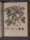 Silva: Or, A Discourse Of Forest-Trees, And The Propagation of Timber in his Majesty's Dominions.Together With An Historical Account of the Sacredness and Use of Standing Groves.With Notes by A.Hunter, M.D. F.R.S