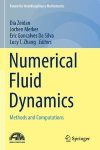 Numerical Fluid Dynamics : Methods and Computations